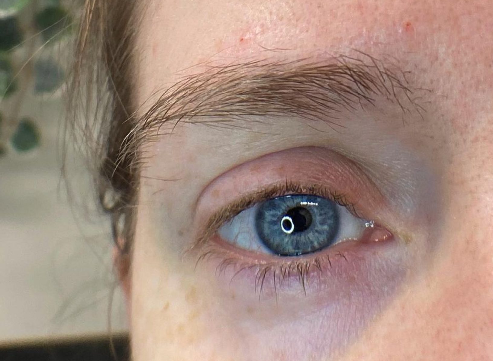 Lash Lift Before Browista Browista